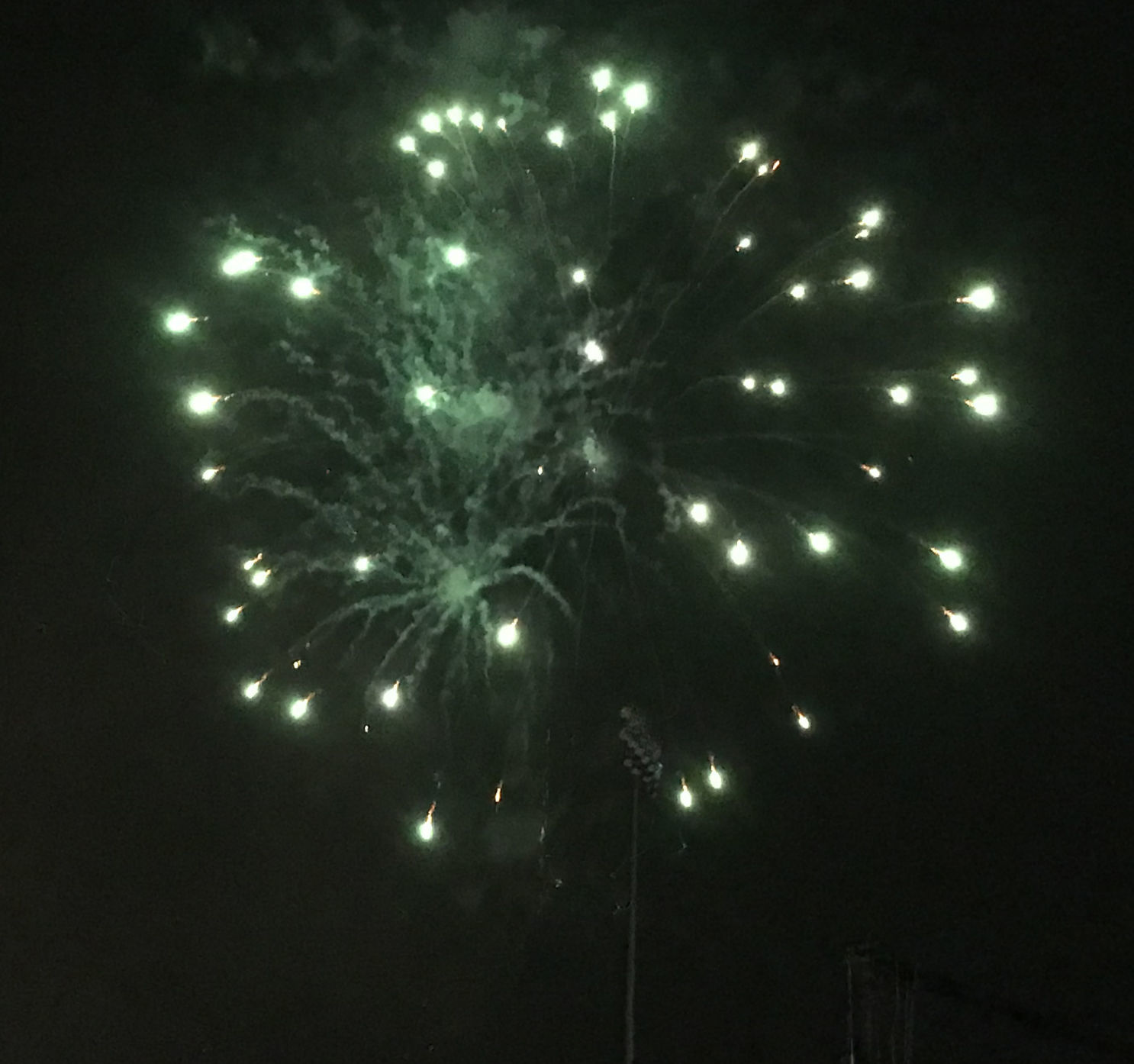 CELEBRATION AT SPEEDWAY